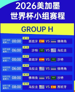 2026世界杯竞彩赔率展示图4